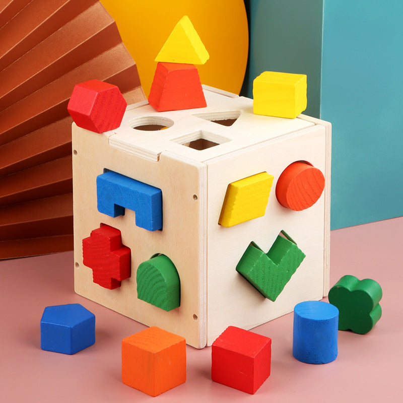 "Baby 101" Learning Blocks